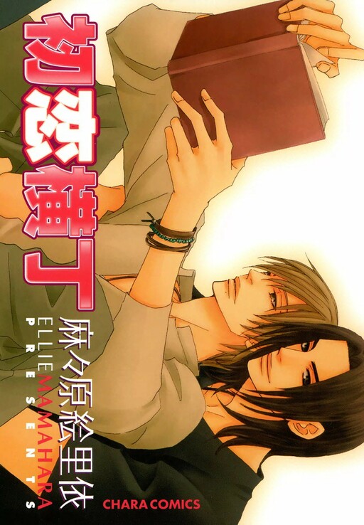 Hatsukoi Yokochou