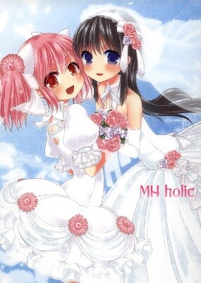 Mahou Shoujo Madoka★Magica - MHholic (Doujinshi)
