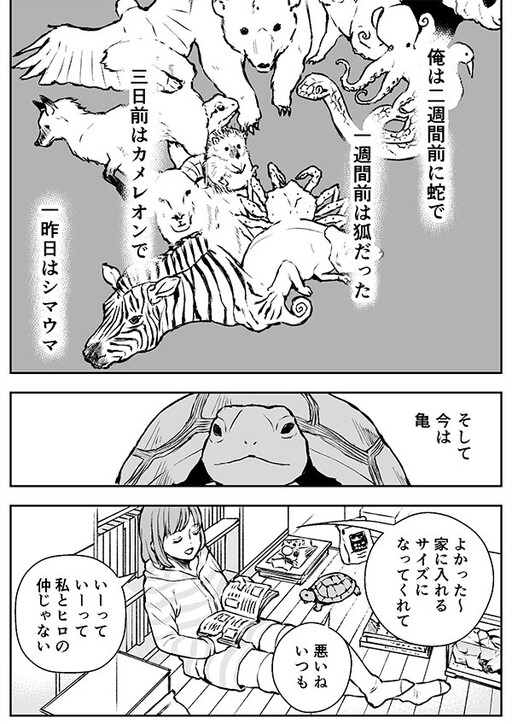 Metamorphosis