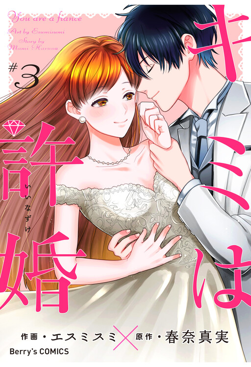 Kimi wa Kyoukon