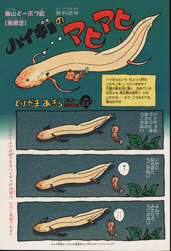 Mahimahi the Lungfish