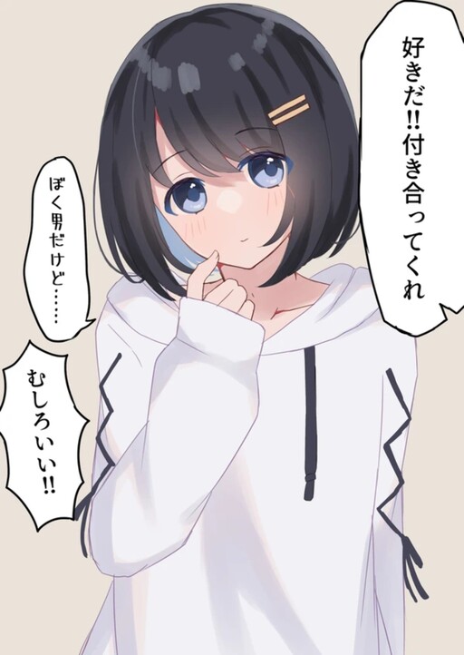 I Confessed to a Cute Girl, but She was a boy