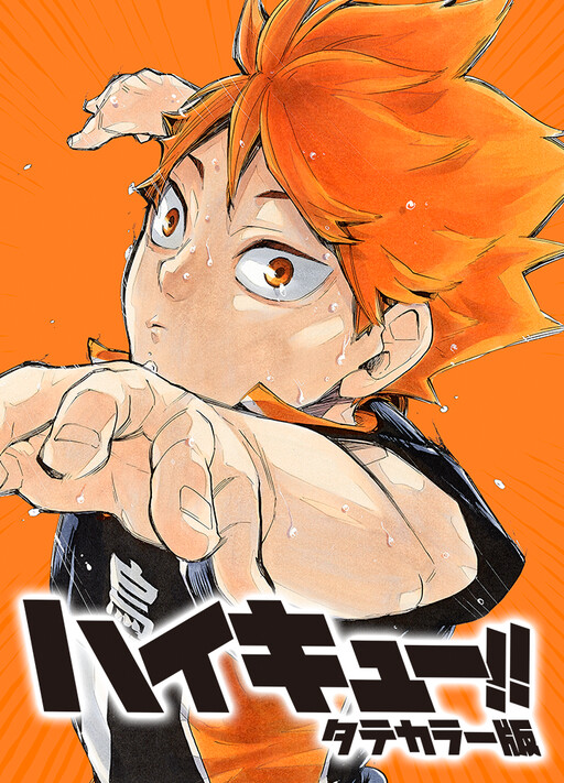 Haikyu!! (Long Strip Official Colored)