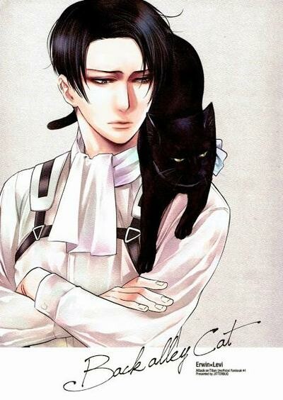 Attack on Titan - Back Alley Cat (Doujinshi)