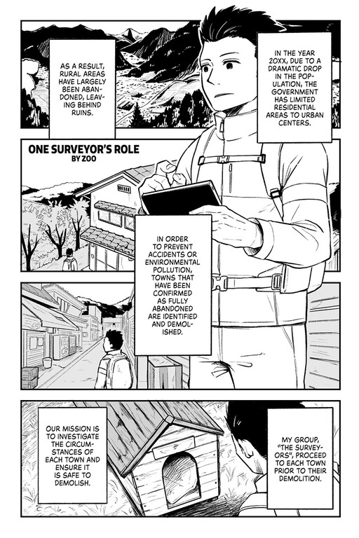 One Surveyor's Role