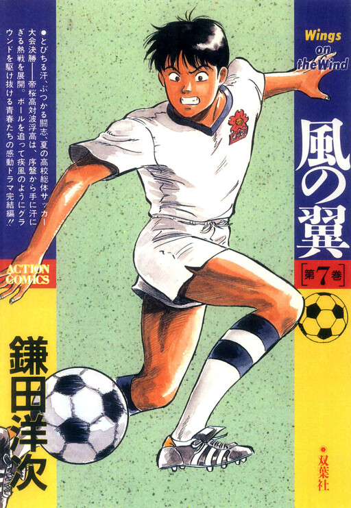 Kaze no Tsubasa