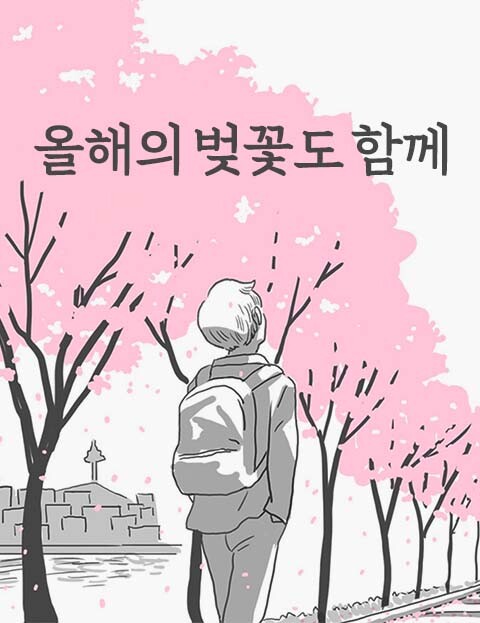Cherry Blossoms