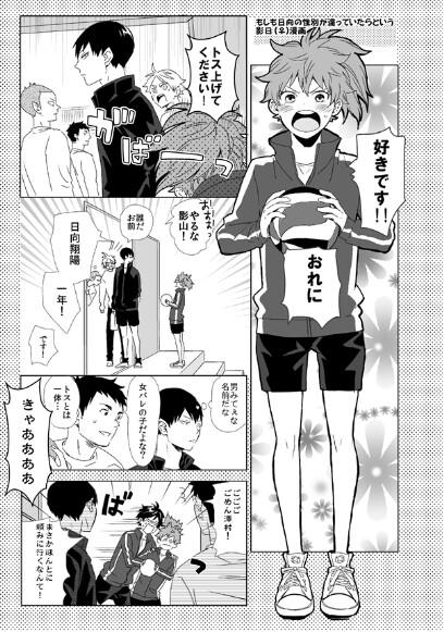 Haikyu!! - Moshimo Hinata no Seibetsu ga Chigatte Itara to Iu (Doujinshi)