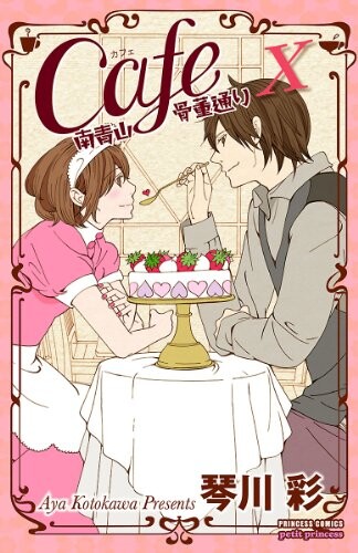 Cafe Minamiaoyama Kottoudoori
