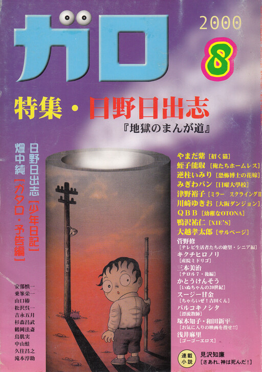 A Boy's Diary