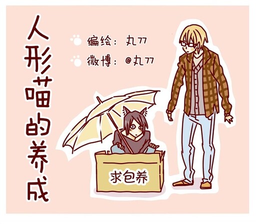 Raising a Human cat