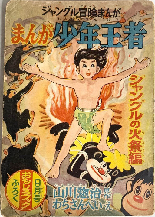 Manga Boy Champion