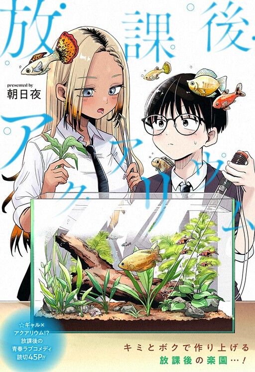 Afterschool Aquarium