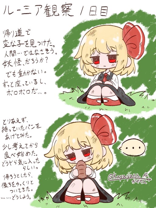 Rumia Observation Diary (Touhou Project)