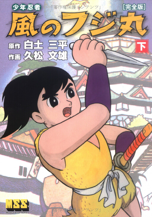Fujimaru of the Wind