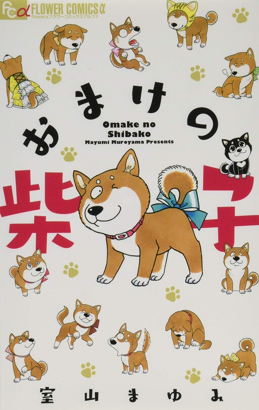 Bonus Shibako